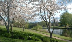 Gardens next to the Meander River, Deloraine.