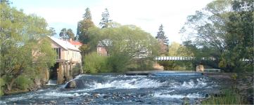 Mill Dam at Deloraine