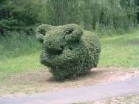 Ram topiary